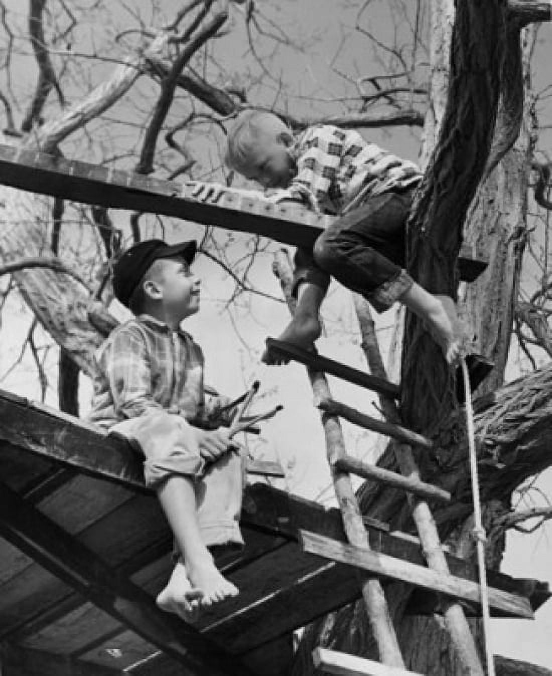 Two boys (8-9) playing in tree house Canvas Art - (18 x 24)