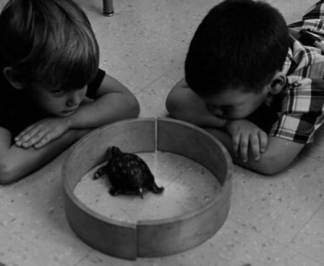 Two boys observing turtle Canvas Art - (24 x 36)