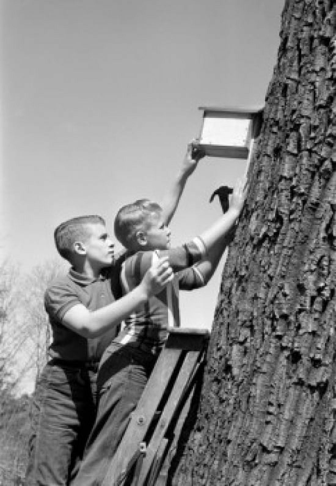 Two boys placing birdhouse on tree Canvas Art - (18 x 24)
