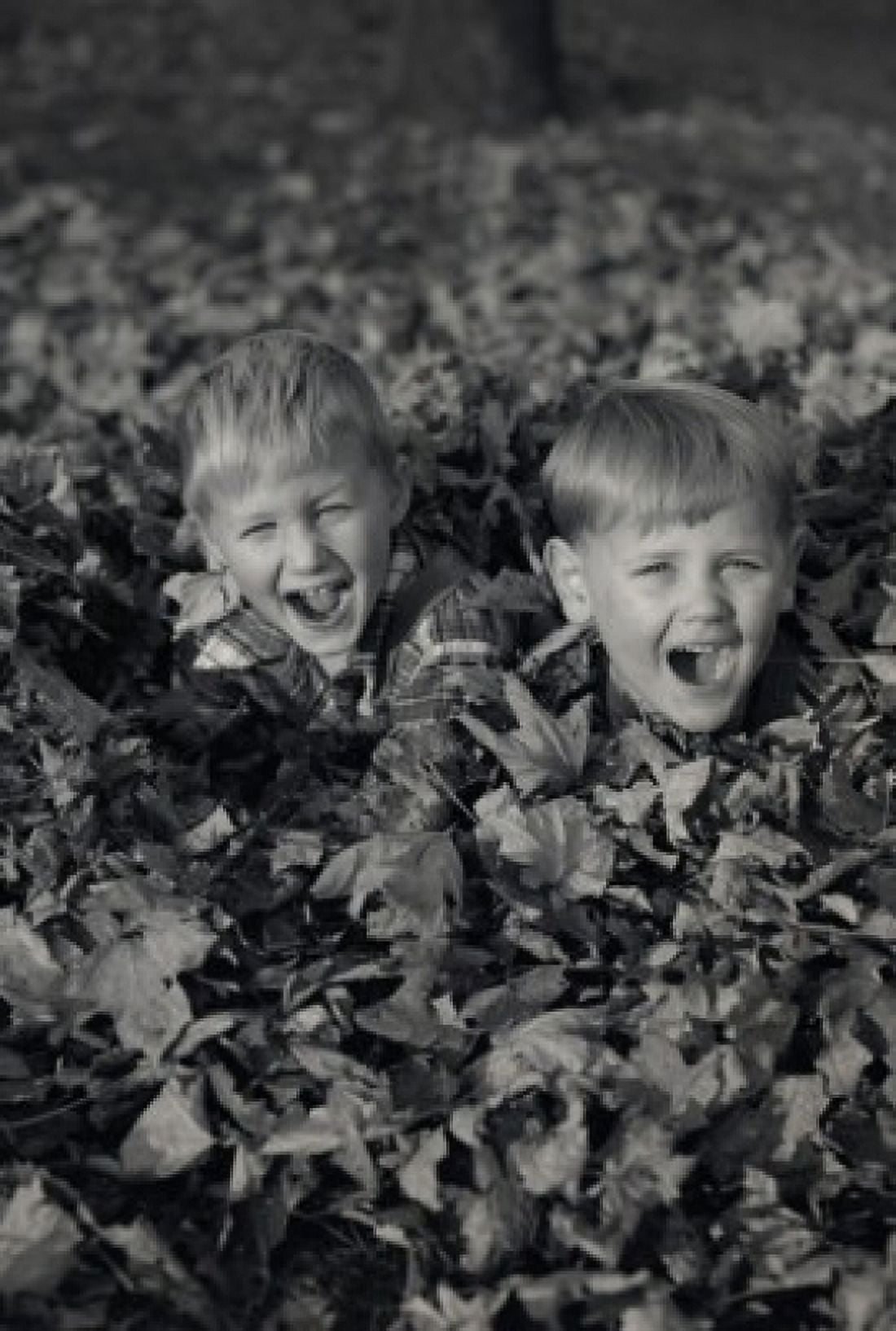 Two boys playing in heap of leaves Canvas Art - (24 x 36)