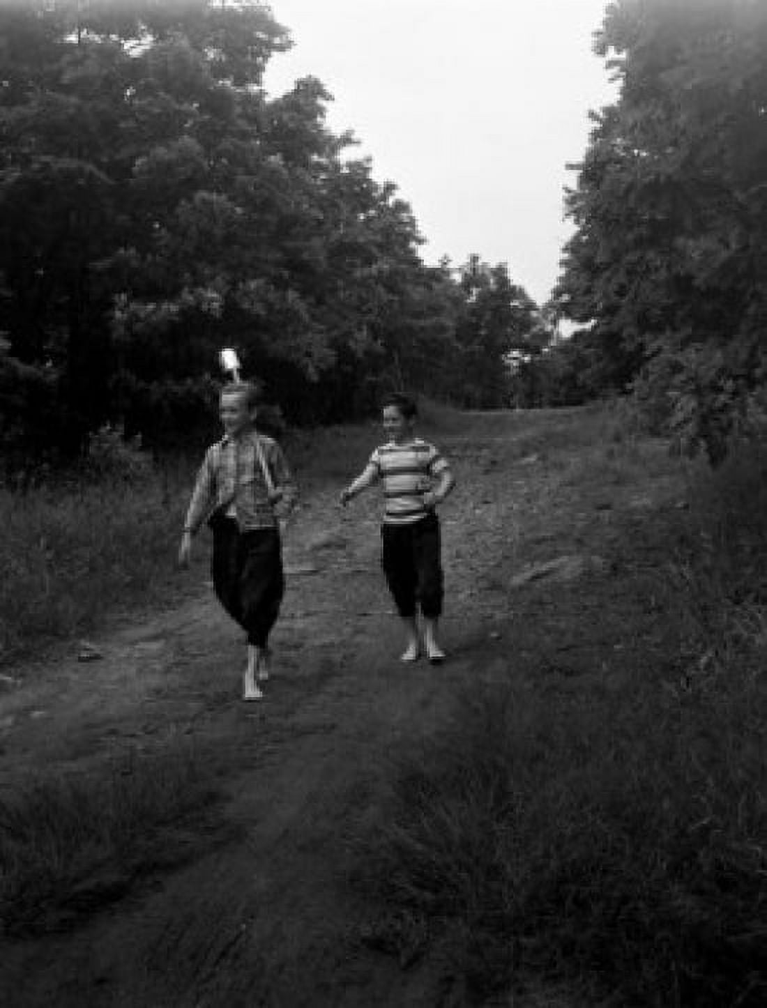 Two boys walking in forest Canvas Art - (24 x 36)