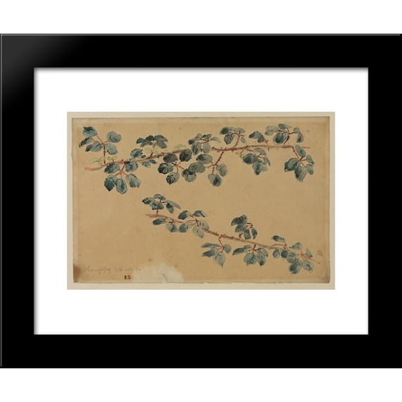 Two branches with leaves 20x24 Framed Art Print by Eugene Delacroix