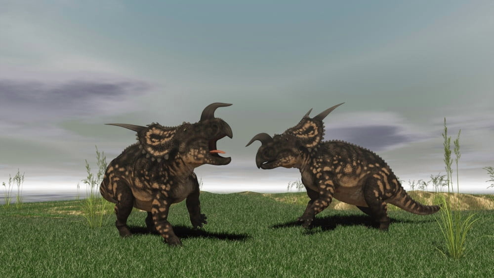 Two brown Einiosaurus dinosaurs confront each other in an open field Canvas Art - Kostyantyn IvanyshenStocktrek Images (19 x 11)