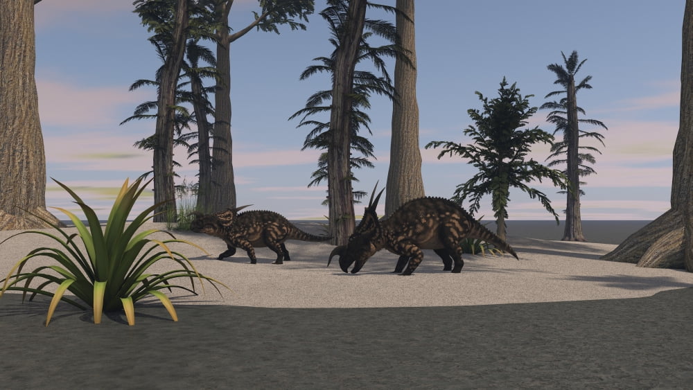 Two brown Einiosaurus dinosaurs in a prehistoric environment Canvas Art - Kostyantyn IvanyshenStocktrek Images (38 x 22)