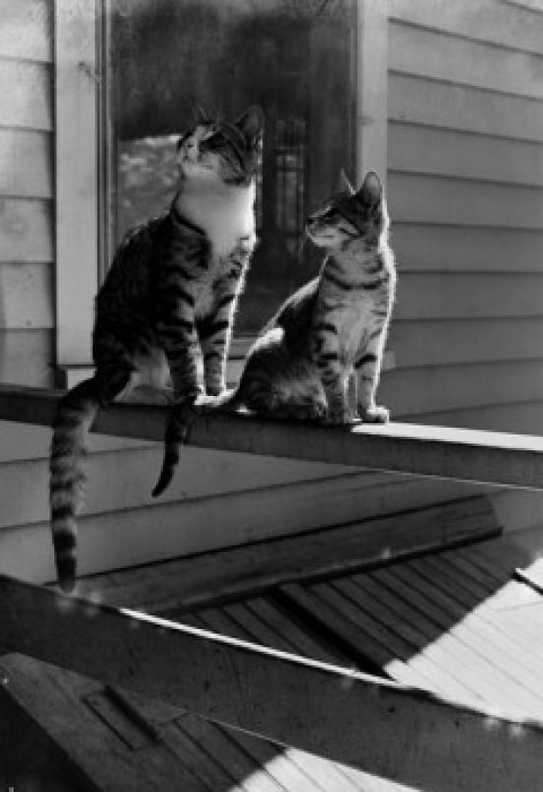 Two cats sitting on porch Canvas Art -  (18 x 24)