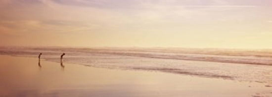 Two children playing on the beach San Francisco California USA Canvas Art - Panoramic Images (18 x 7)