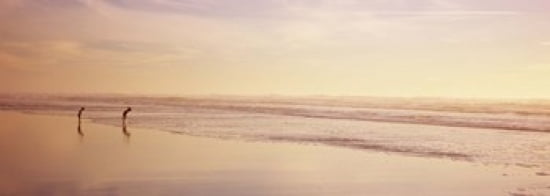 Two children playing on the beach San Francisco California USA Canvas Art - Panoramic Images (36 x 13)