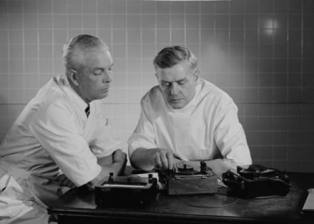 Two doctors concentrating in office Canvas Art - (24 x 36)