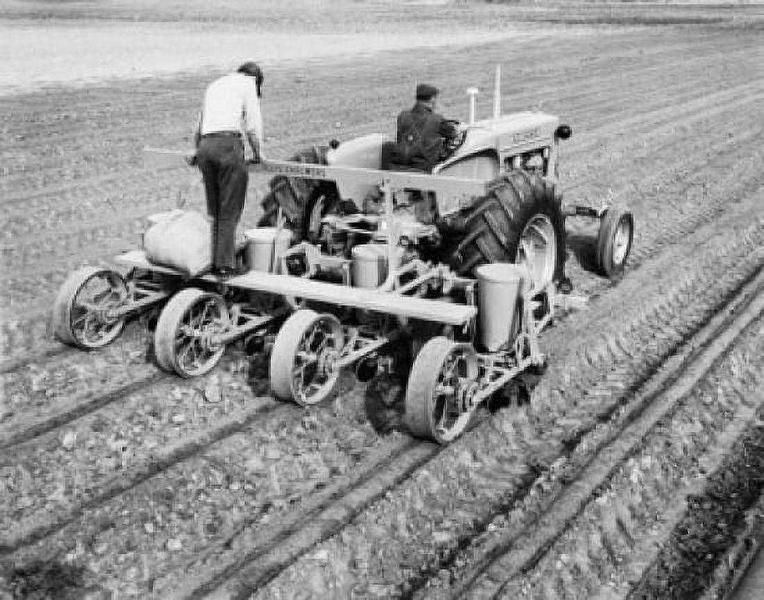 Two farmers plowing a field with four row cotton planters Canvas Art - (18 x 24)