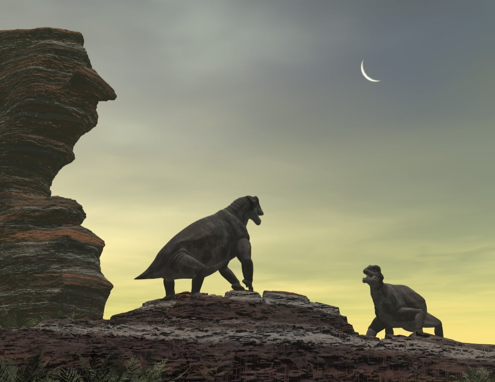 Two giant Moschops face off on a sandstone mesa 250 million years ago Canvas Art - Walter MyersStocktrek Images (17 x 13)