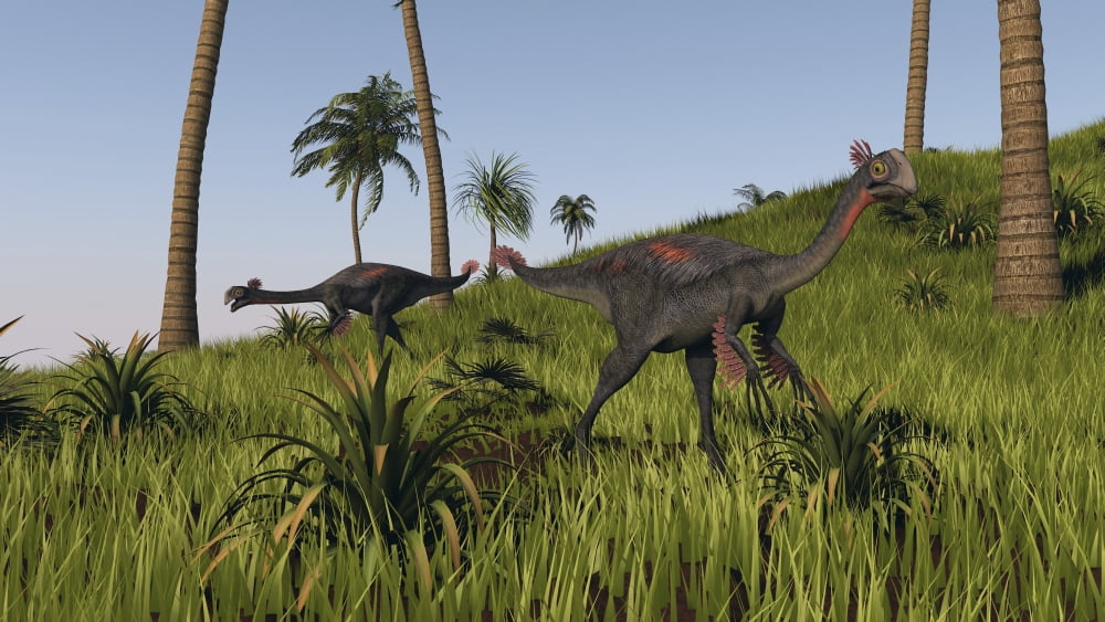 Two gigantoraptors in a grassy field Canvas Art - Kostyantyn IvanyshenStocktrek Images (19 x 11)