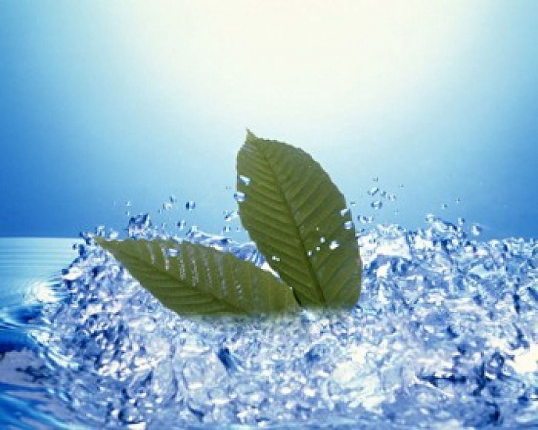 Two green leaves in bubbling water Canvas Art - Panoramic Images (16 x 13)