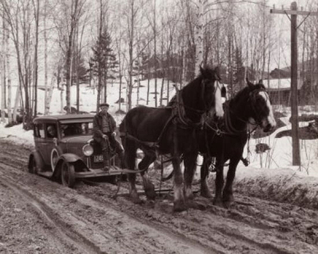 Two horses towing a vintage car Canvas Art - (24 x 36)