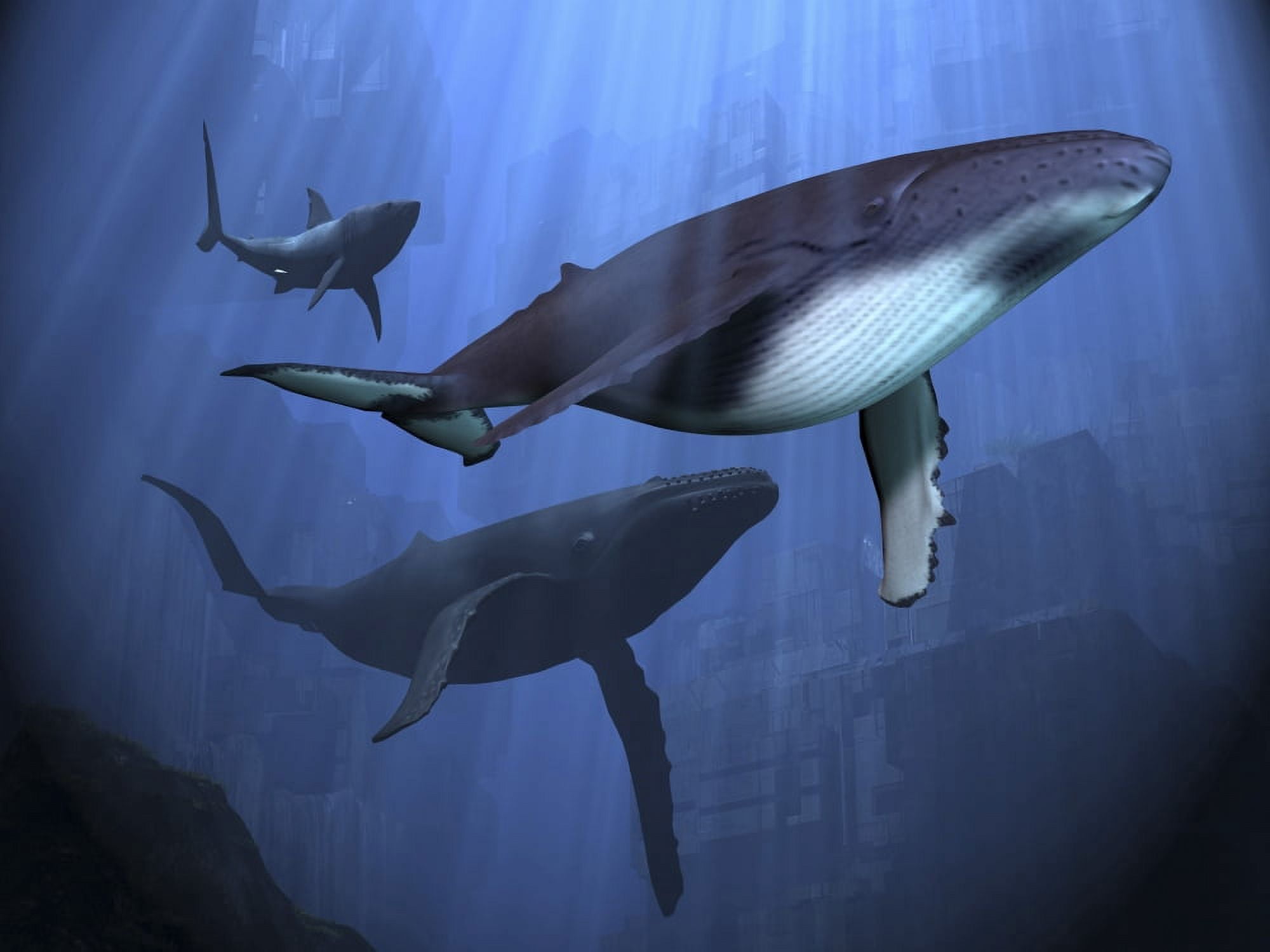 Two humpback whales and a shark swim among ancient city ruins Canvas Art - Corey FordStocktrek Images (33 x 25)