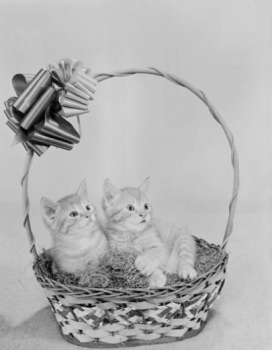 Two kittens in basket Canvas Art -  (18 x 24)