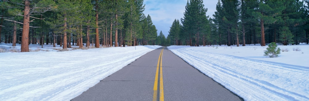 Two lane road in snow with Evergreen trees Canvas Art - Panoramic Images (27 x 9)
