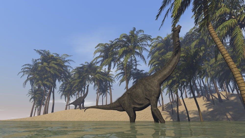 Two large Brachiosaurus grazing along a bay Canvas Art - Kostyantyn IvanyshenStocktrek Images (19 x 11)