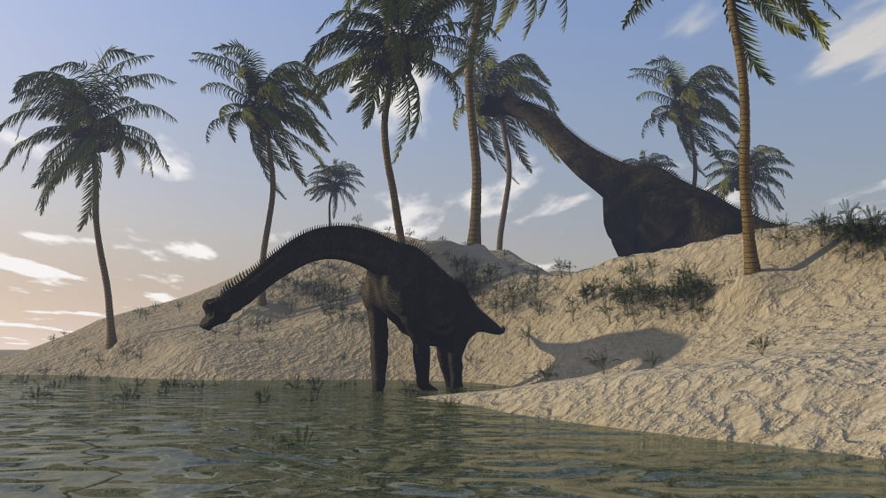 Two large Brachiosaurus grazing along the waters edge Canvas Art - Kostyantyn IvanyshenStocktrek Images (19 x 11)