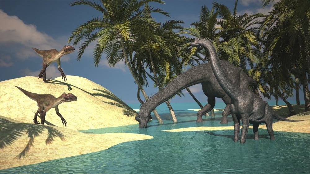 Two large Brachiosaurus grazing in shallow waters as two Utahraptors approach Canvas Art - Kostyantyn IvanyshenStocktrek Images (19 x 11)