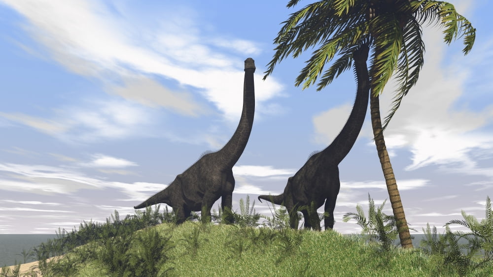 Two large Brachiosaurus grazing on a tall tree Canvas Art - Kostyantyn IvanyshenStocktrek Images (19 x 11)