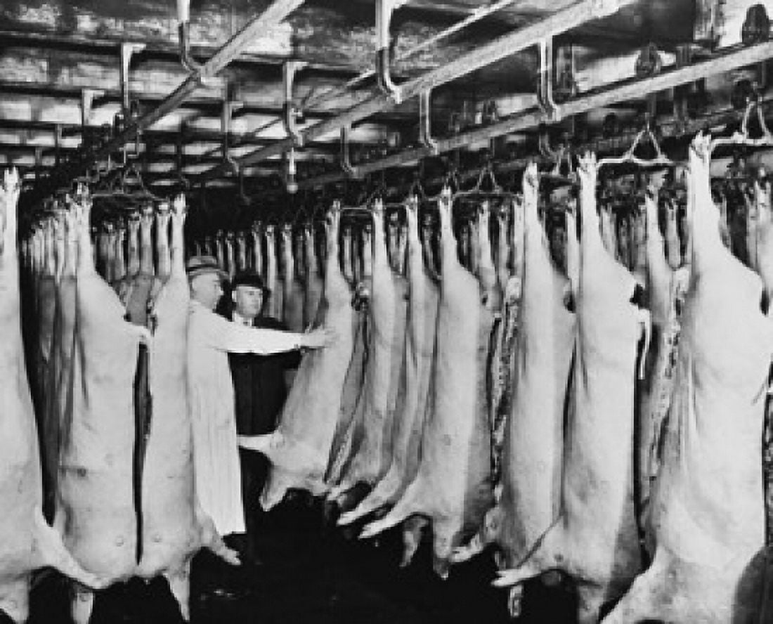 Two mature men inspecting meat hanging in a slaughterhouse Chicago Illinois USA Canvas Art - (18 x 24)