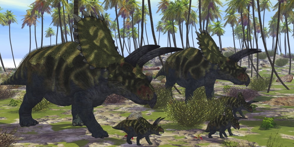Two mother Coahuilaceratops escort their baby hatchlings Canvas Art - Corey FordStocktrek Images (40 x 20)