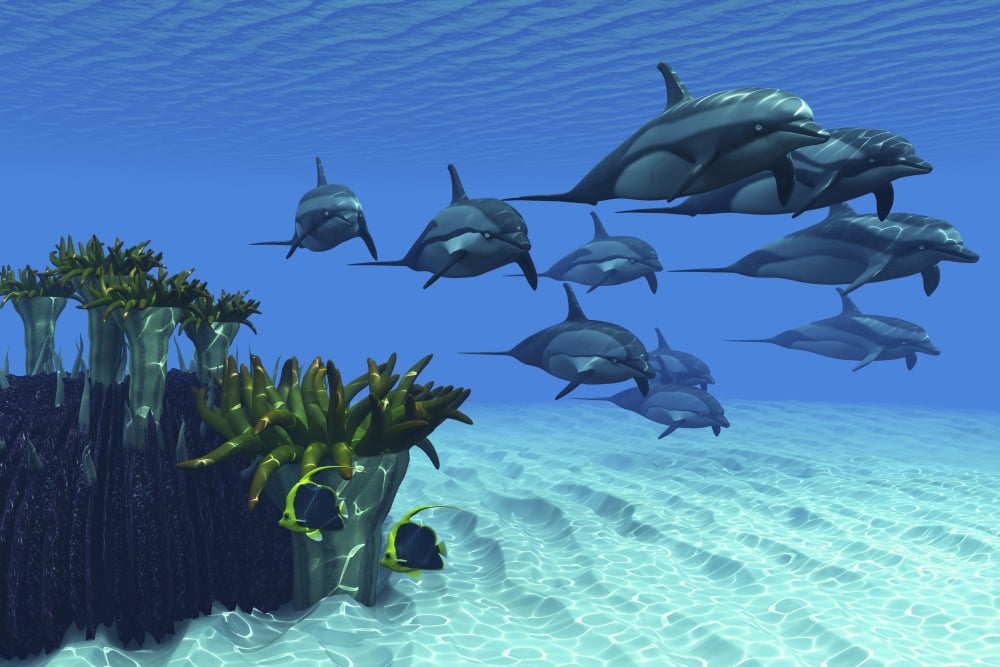 Two pennant fish scamper away from a pod of striped dolphins Canvas Art - Corey FordStocktrek Images (18 x 12)