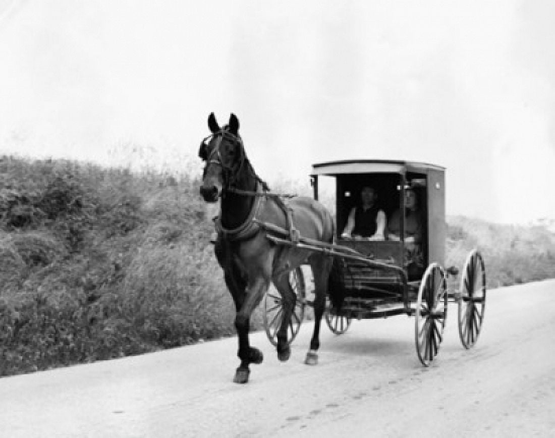 Two people sitting in an Amish carriage Pennsylvania USA Canvas Art - (24 x 36)