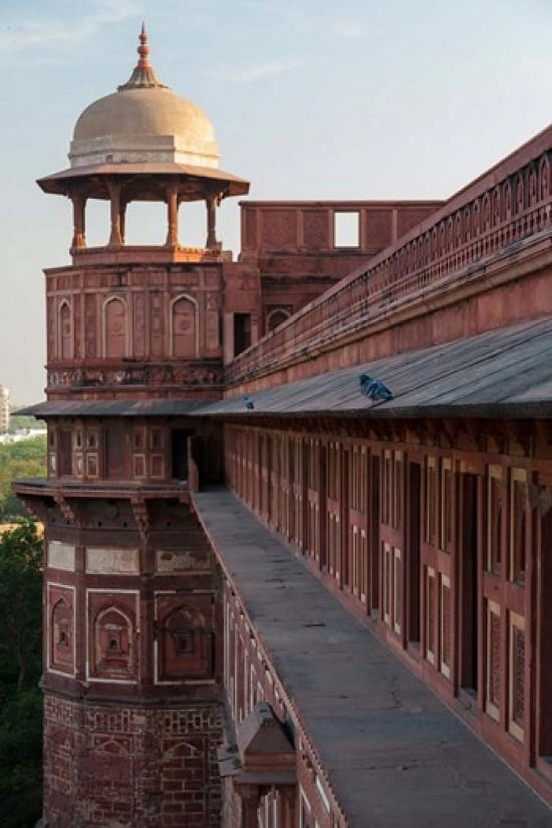 Two pigeons sit on the roofs ledge Agra fort India Canvas Art - Brent Bergherm DanitaDelimont (24 x 35)