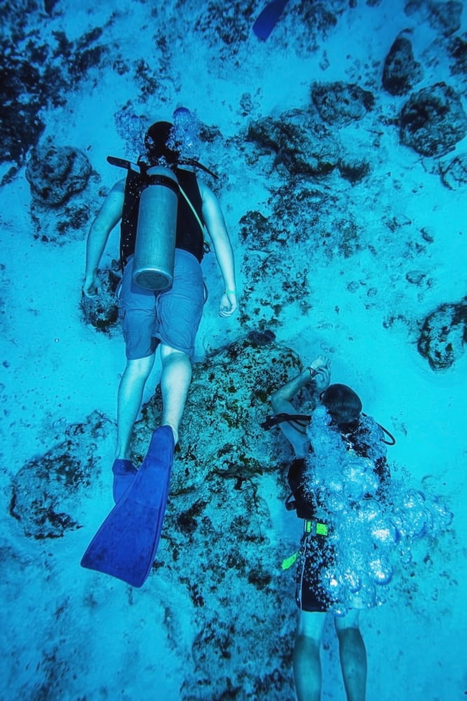 Two scuba divers swimming Cozumel Mexico Canvas Art - Mike Raabe Design Pics (12 x 19)