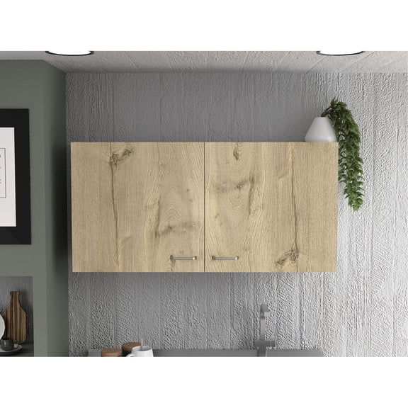 Two - shelf multicolor double - door wall cabinet for wine cellar storage