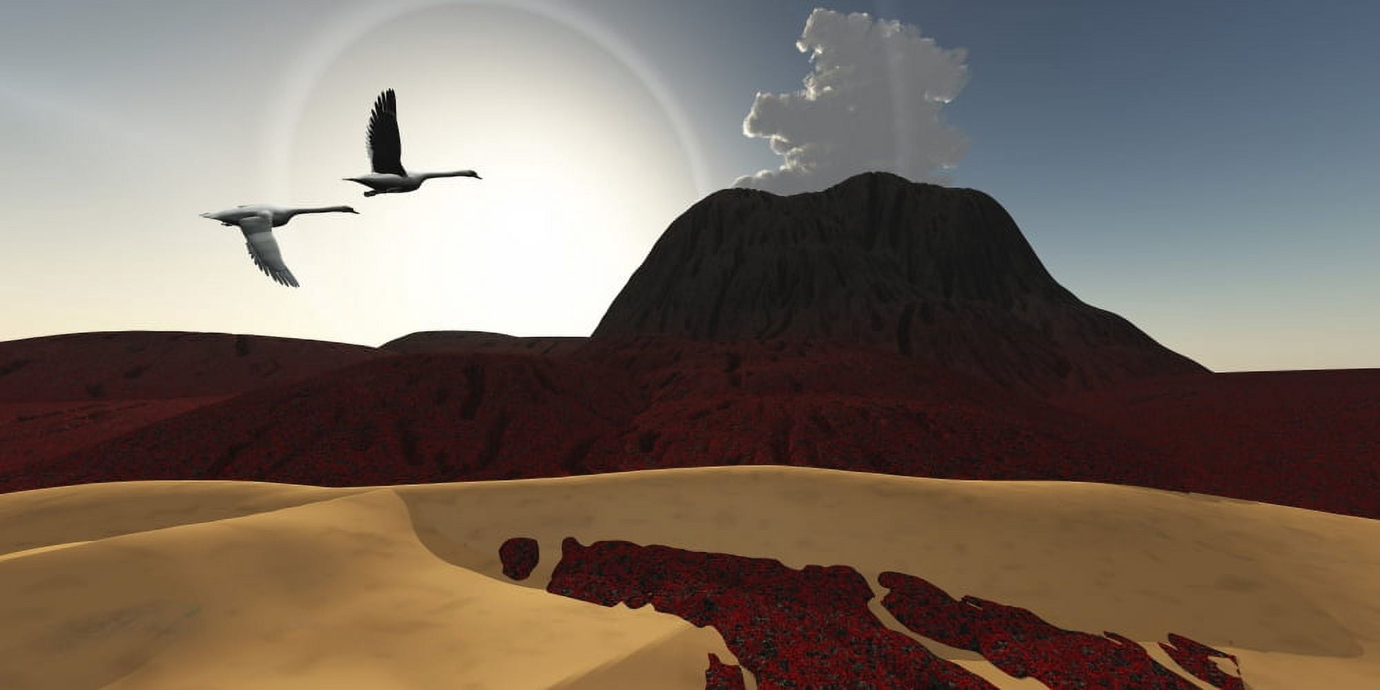 Two swans fly over cooling lava flows from a recently active volcano Canvas Art - Corey FordStocktrek Images (20 x 10)