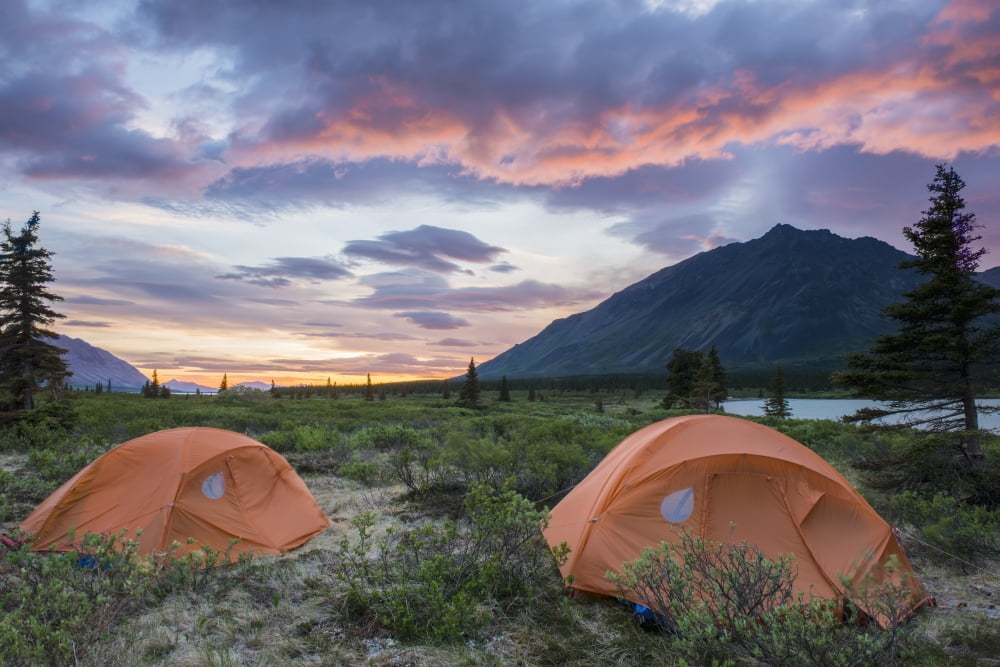 Two tents at a backcountry campsite in the Twin Lakes area of Lake Clark National Park & Preserve Southcentral Alaska Canvas Art - Carl Johnson Design Pics (19 x 12)