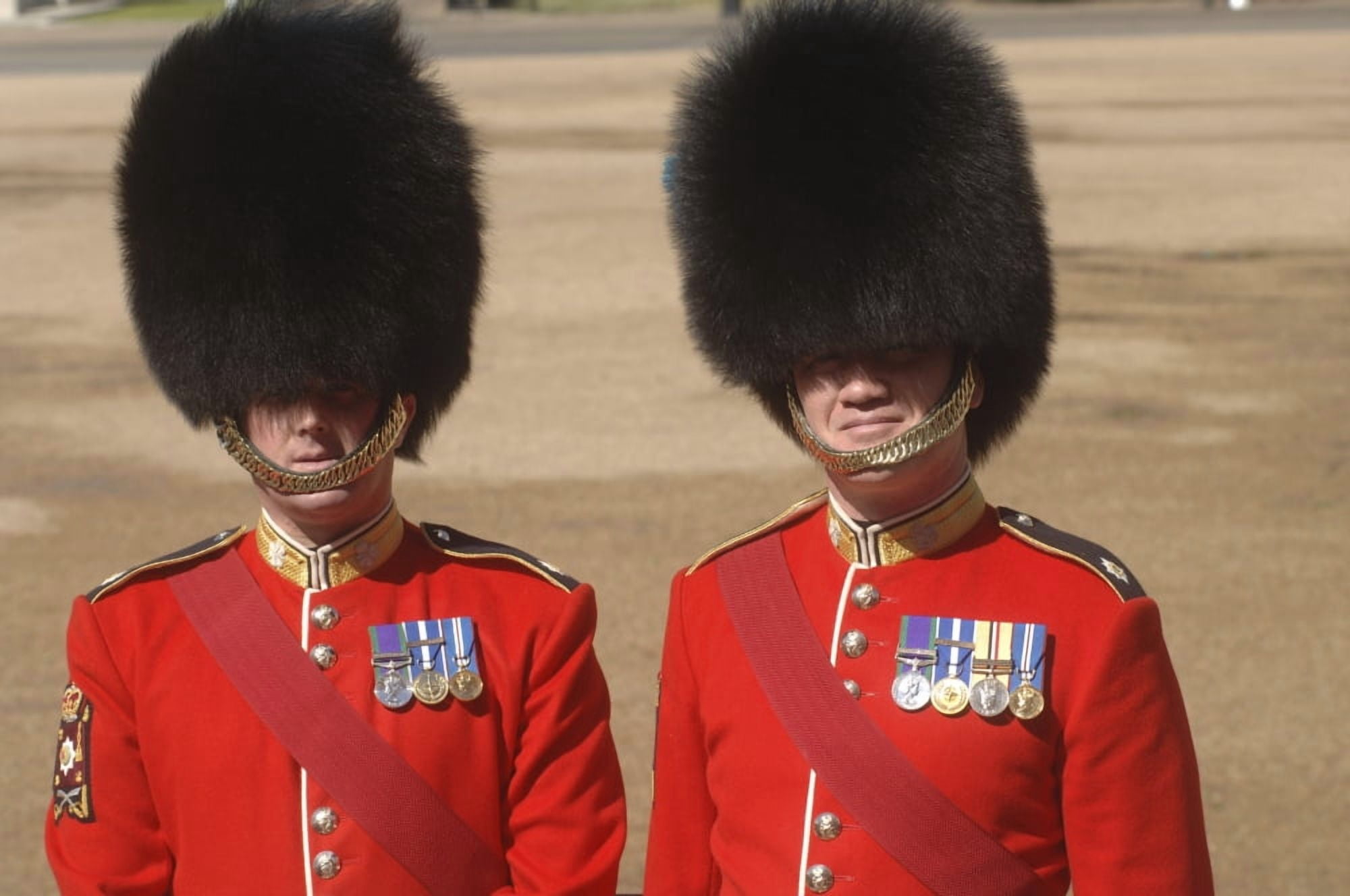 Two warrant officers of the Irish Guards Canvas Art - Andrew ChittockStocktrek Images (34 x 23)
