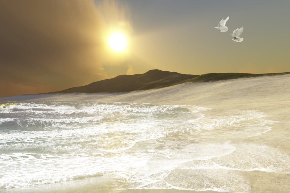 Two white doves fly over waves coming to shore on a remote beach Canvas Art - Corey FordStocktrek Images (35 x 23)