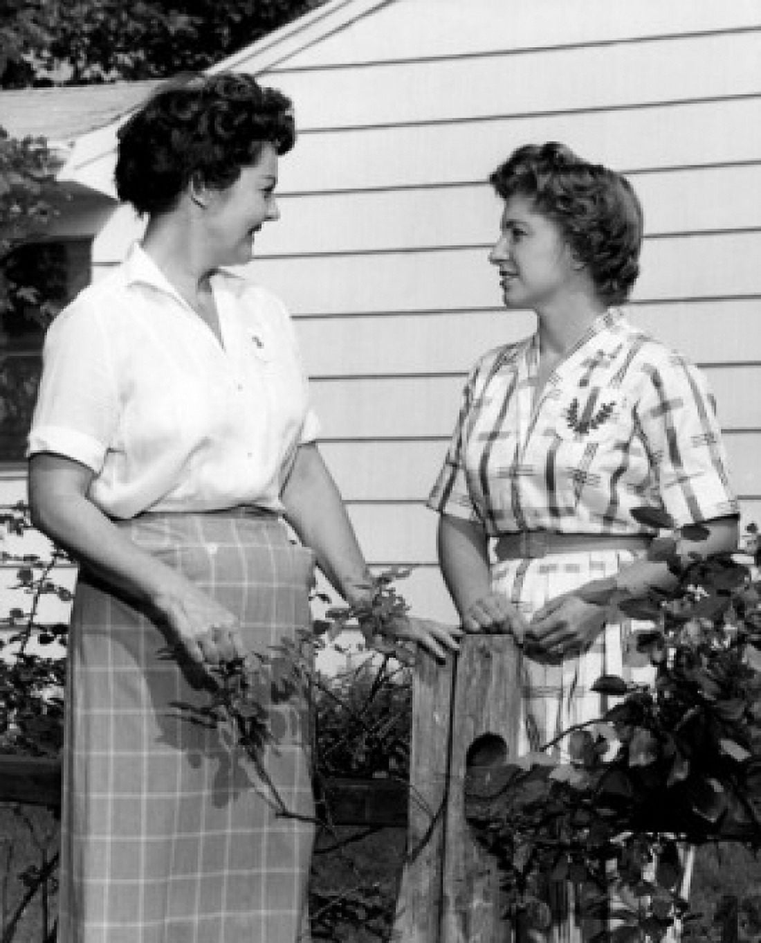 Two women talking over garden fence Canvas Art - (24 x 36)