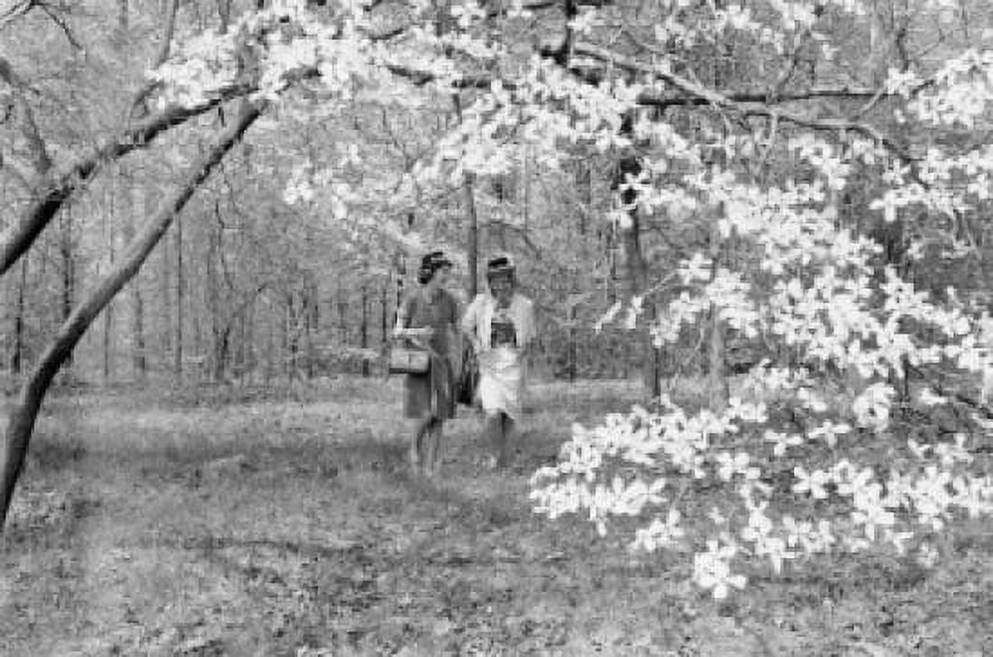 Two women walking in spring scenery Canvas Art - (24 x 36)