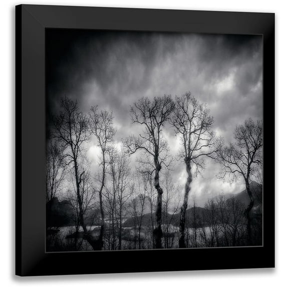 Txules 12x12 Black Modern Framed Museum Art Print Titled - Last Days