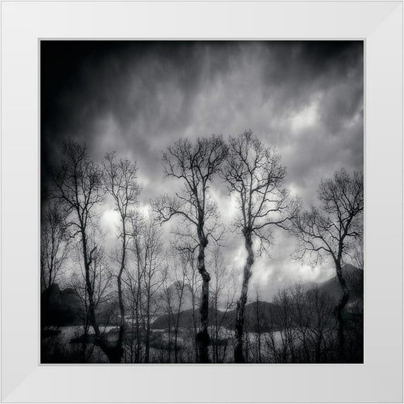 Txules 26x26 White Modern Wood Framed Museum Art Print Titled - Last Days