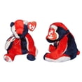 thumbnail image 1 of Ty Beanie Baby: Patriot the Bear - Flag on Right Foot | Stuffed Animal | MWMT, 1 of 6