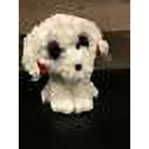 Ty Beanie Boos - HONEY BUN the White Dog (Glittery Eyes) 6" (NO TY HANG TAG) (NO HOLDING HEART) Plush