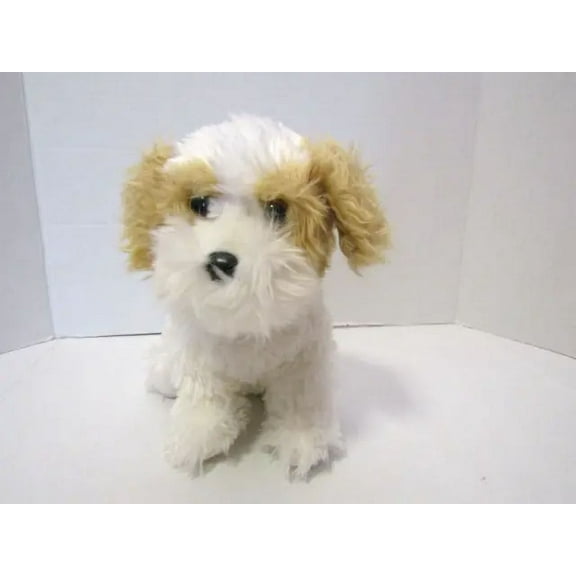 Ty Classic - Barley the Shih Tzu Puppy Dog Beanbag (White Tan 2015 10" Plush) No Ty Hang Tag