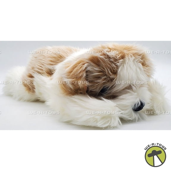 Ty Beanie Classics Perkins the Dog White and Brown Plush