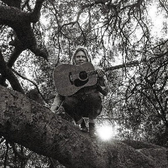 Ty Segall - Hello Hi - Music & Performance - Vinyl