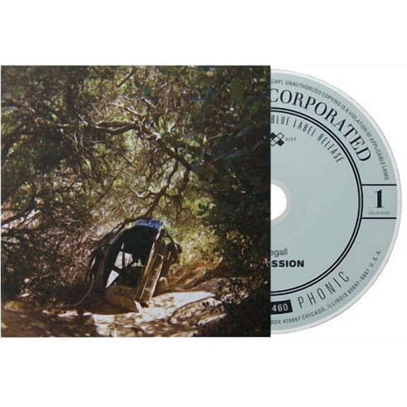 Ty Segall - Possession - Music & Performance - Vinyl