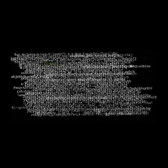 Ty Segall - Ty Rex - Music & Performance - Vinyl