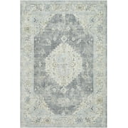 BoutiqueRugs Tyche Traditional Area Rug - Beige, Light Gray, Gray - 2 x 211"