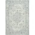 thumbnail image 1 of BoutiqueRugs Tyche Traditional Area Rug - Beige, Light Gray, Gray - 5'3" x 7', 1 of 8