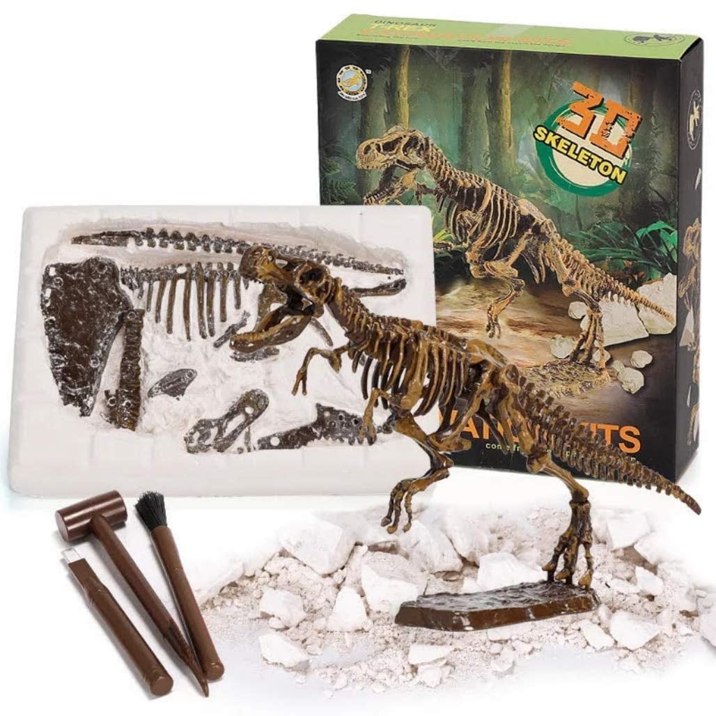 Tyethy Dinosaur Toys Fossil Excavation Kits with Chisel, Dinosaur Eggs Toys for Men and Women