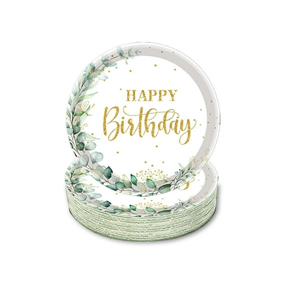 Tyidzon 20Pcs Birthday Plates 7 Inch Happy Birthday Plates Disposable Plates Set for Girls Boys Birthday Party Supplies